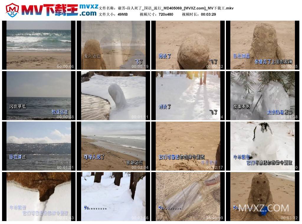 谢芳-诗人死了_国语_流行_MD405069